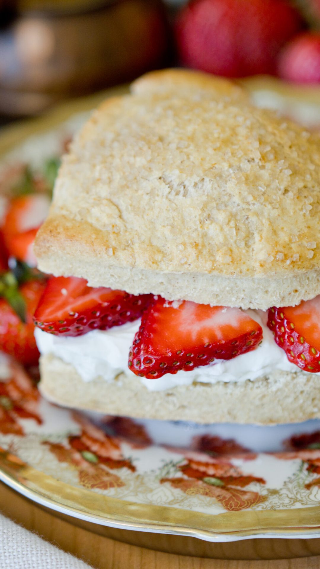 Strawberry Shortcake_5483